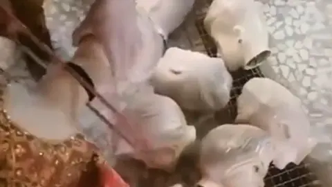 Liberals beheading mannequins. Photo: Twitter video screenshot.