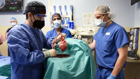 07 January 2022, US, Baltimore: Members of the surgical team show the pig heart for transplant into patient David Bennett that will be performed in Baltimore. The surgery at the University of Maryland marks the first time a gene-edited pig has been used as an organ donor. Patient Bennett has lived for three days with a pig heart beating inside his chest after an eight-hour procedure. Photo: University Of Maryland School/ZUMA Press Wire Service/dpa.