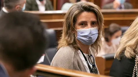 16/03/2022. The third vice president and minister for the Ecological Transition and the Demographic Challenge, Teresa Ribera, at the lower house of Parliament (Congress of Deputies). Photo: Eva Ercolanese/PSOE.