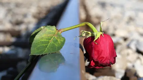 Suicide rose railway by Pixabay.