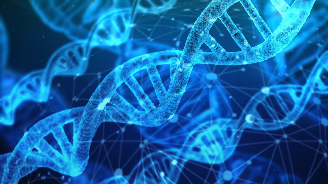 DNA