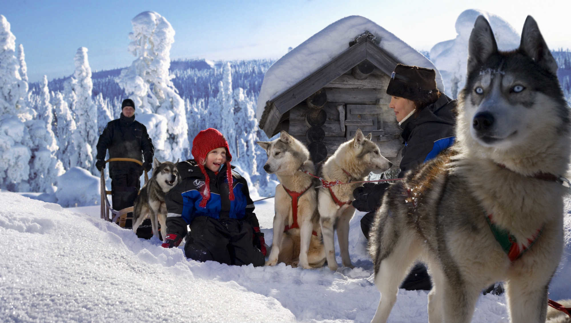huskies safary family rovaniemi by Visit Rovaniemi