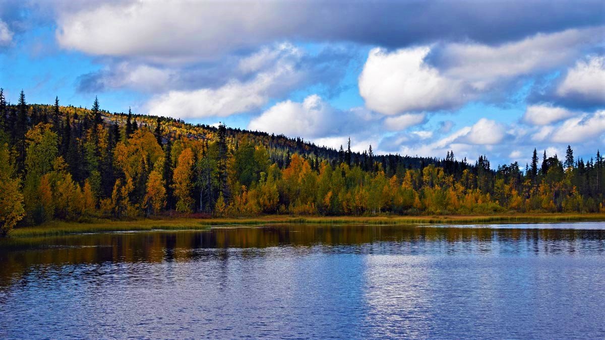 Ruska-forest-lake-lapland-by-Pablo-Morilla