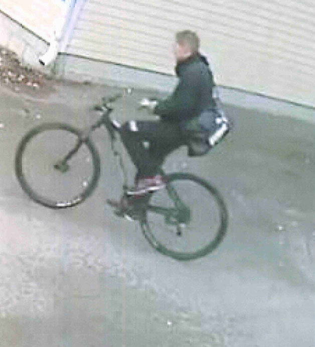 Gold-bar-thief-robber