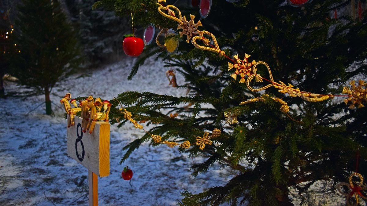 joulupolku-korso--by-Pablo-Morilla