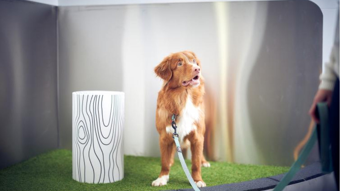 Dog-pets-toilet-relief-area-by-Finavia