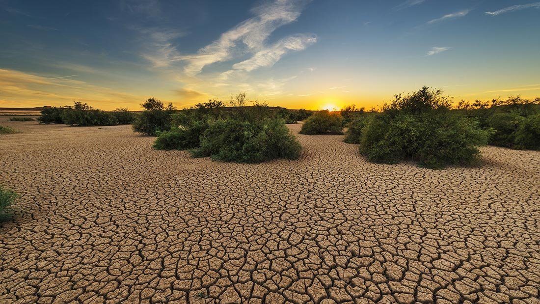 drought-dry-dawn