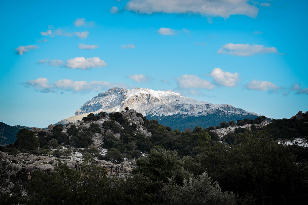 General view of a mountain in the Serra de Tramuntana. Photo: Pablo Morilla.